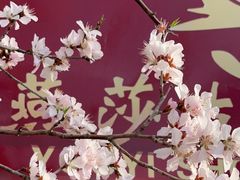 -燕莎友谊商城(亮马桥店)