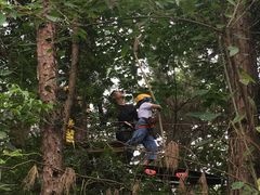 -芦仙山景区-飞越丛林探险乐园