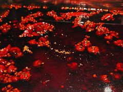 -二荆条·蜀鲜汇城市森林火锅