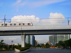 -宝安西湾红树林湿地公园