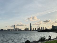 -深圳湾公园(南山区)