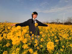 -春花秋色城市公园