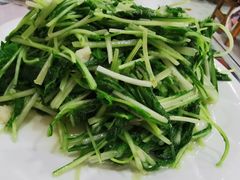 -泸沽肴(泸沽湖大洛水村农村信用社旁店)