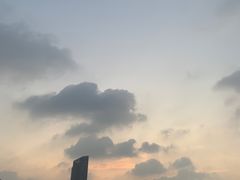 -万绿园