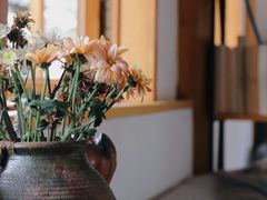 -YLK云南小粒咖啡·云里咖(二号店)