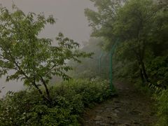 -阳台山自然风景区