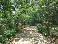 -嵖岈山风景区