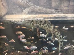 -哈尔滨波塞冬海底世界