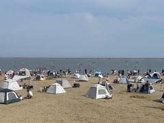 -碧海金沙