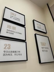 -菩叶脱发白发中心