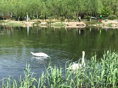-吉林大学(前卫南区)