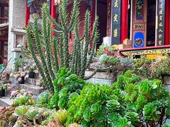 -寂照庵