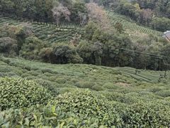 -十里琅珰
