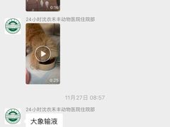 -派美特宠物医院·核磁CT·骨科肿瘤·疑难转诊(沈农禾丰店)