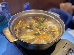 -千岛蚝高压锅生蚝·人参火锅(白云万达店)