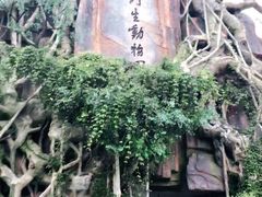 -云南野生动物园