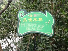 -呀诺达热带雨林