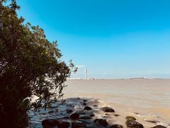 -上海吴淞炮台湾国家湿地公园