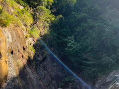 -广州白江湖森林公园