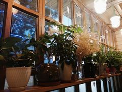 -Cafe Alice咖啡爱丽丝(奥城店)
