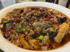 泰安鱼-龙翔山庄雷鸡肉(青城后山泰安古镇店)