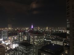 -东京都厅舍