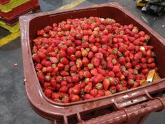 -西郊国际农产品交易中心