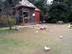 android_upload_pic-庐州太太(双岗店)