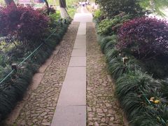 -西湖游船