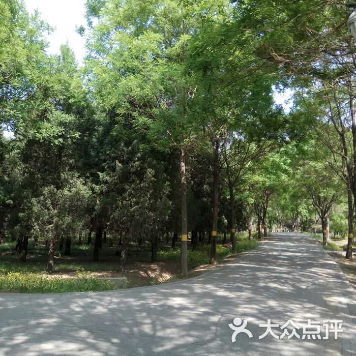 镇海寺郊野公园