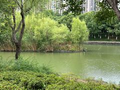 -皇粮浜湿地公园