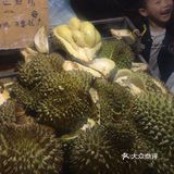 冬天很适合的度假地，好玩且不贵
