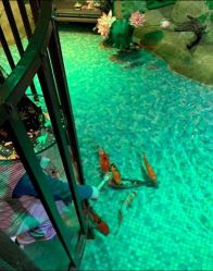 -酷嗒动物文化乐园(cutezoo西溪乐天城店)