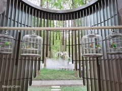 -黄海国家森林公园