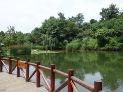 -天目湖山水园