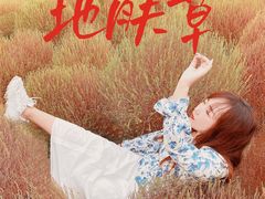 -映月湖中央公园