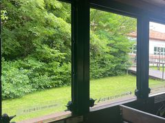 -济州森林小火车生态公园