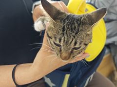 -pd派德宠物中心医院24H急重症·眼科中心·血液透析中心(嵩山北路店)