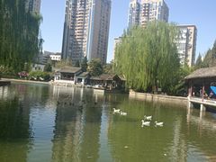 -团结湖公园