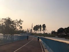 -白鹭湾湿地公园