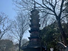 -上海佘山国家森林公园西佘山园