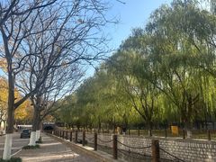 -山东艺术学院(长清校区)