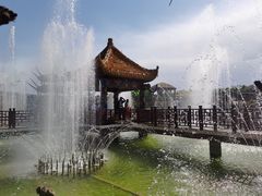 -呀路古热带植物园
