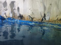 -太平洋海底世界