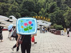 -西双版纳原始森林公园