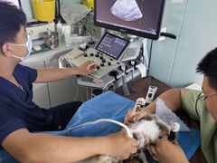 -达爱动物医院·犬猫分区·CT·复杂眼科(远洋山水分院)