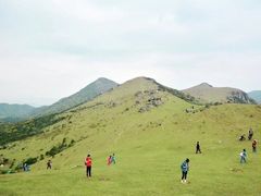 -大姆山草场
