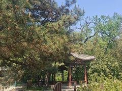 -宣武艺园