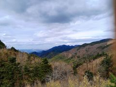 -四明山国家森林公园