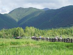 -泸沽湖国家级风景名胜区走婚桥